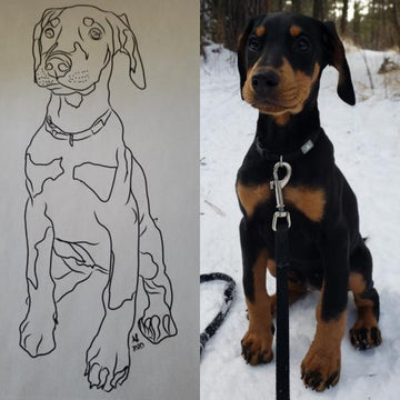 LINE DRAWING: CUSTOM DIGITAL